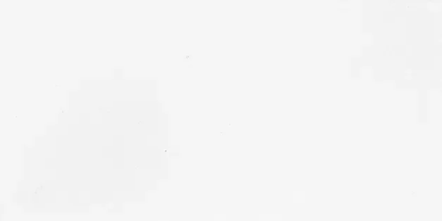 Produktbild av Artic White  