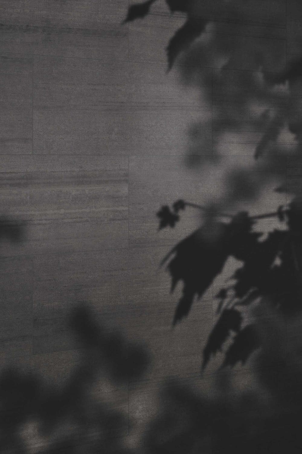 Cem Antracite Cassero