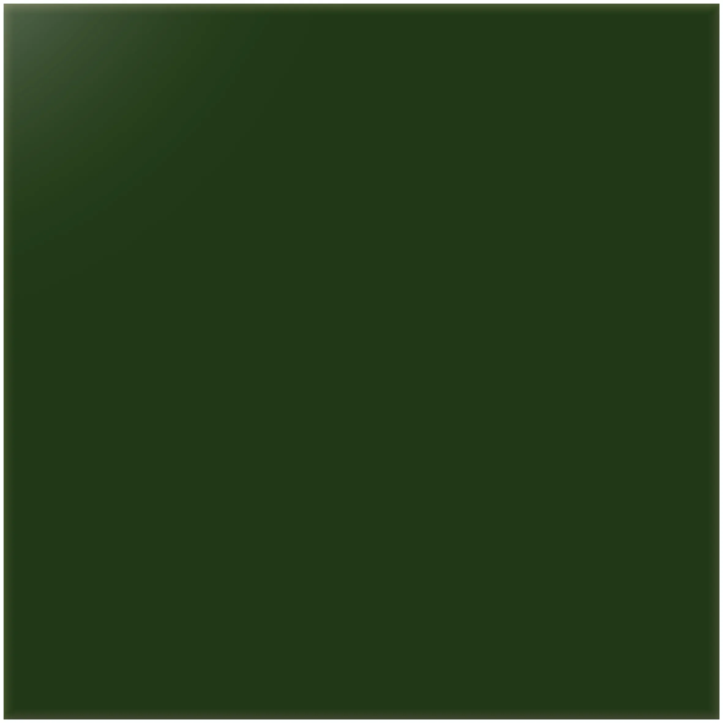 Produktbild av Kulörkoncept Vägg Botella blank 