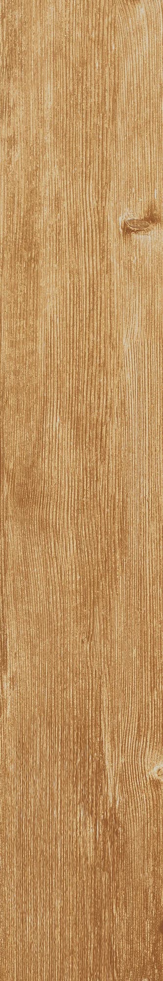 Larix Fresh - Klinker 2